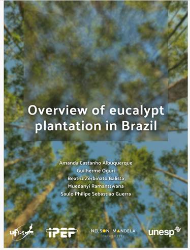 Overview of eucalypt plantation in Brazil